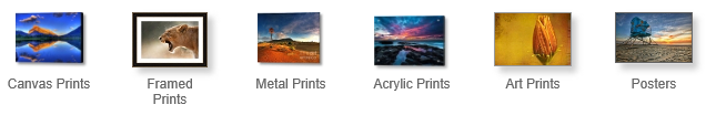 FAA Print Types