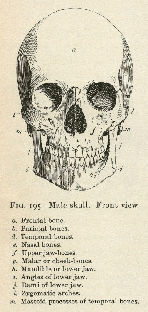 vintage medical clip art - photo #15