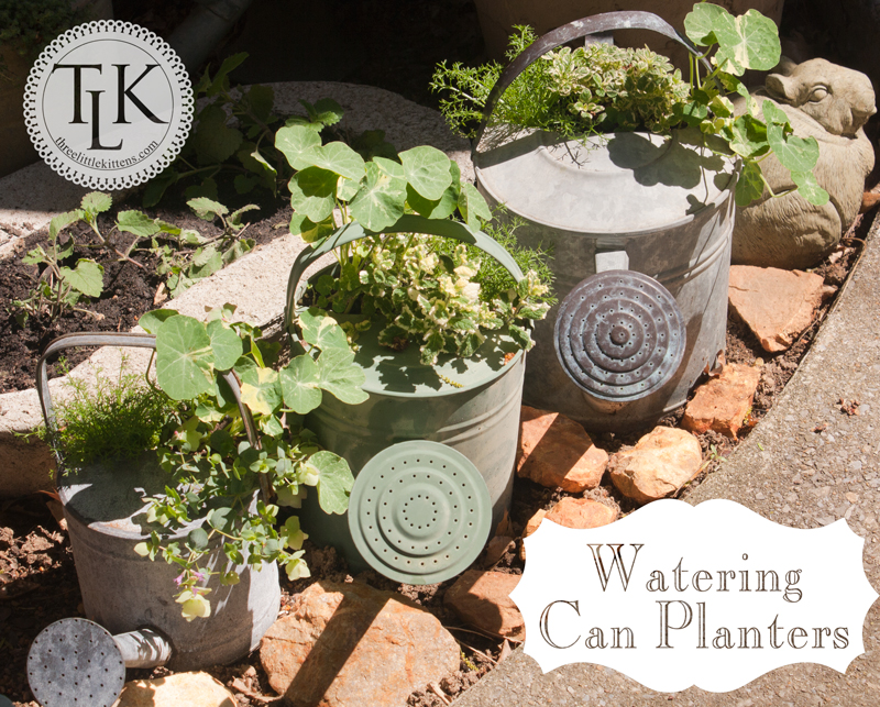 Watering Can Planters on threelittlekittens.com/blog