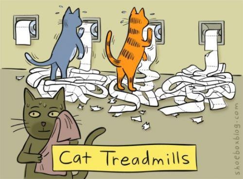 Cat Treadmills