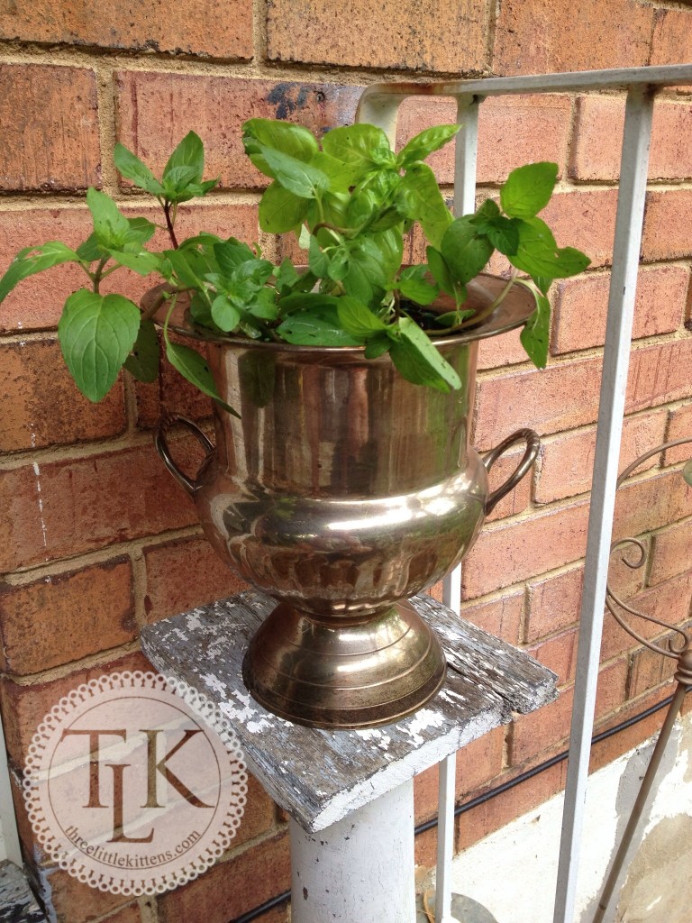 Planter from Vintage Silverplate Urn