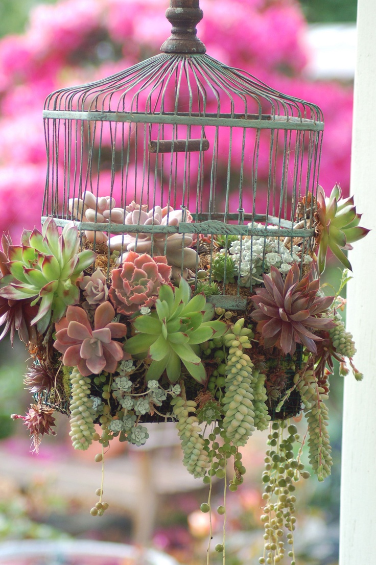 Birdcage Planter