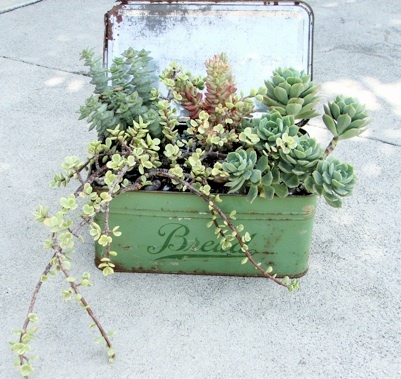 Breadbox Planter