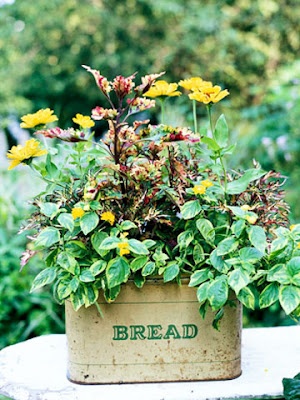 Breadbox Planter2
