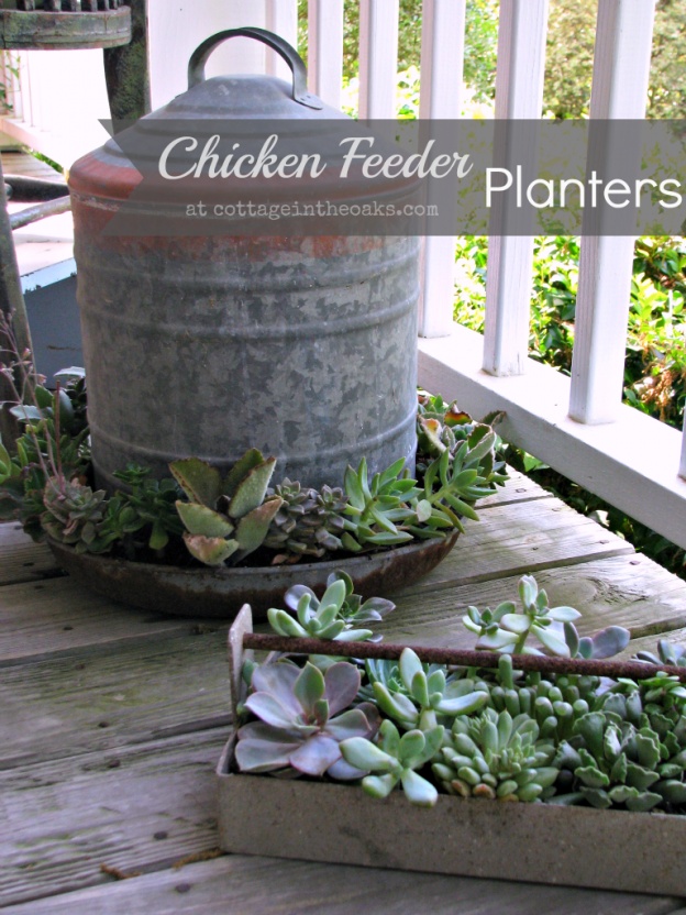 Chicken Feeder Planter