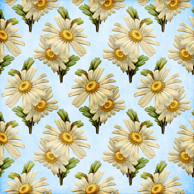 Daisy-Page