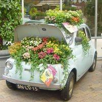 Car Planter