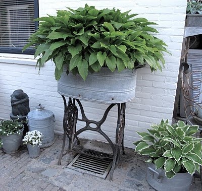 Washtub Planter