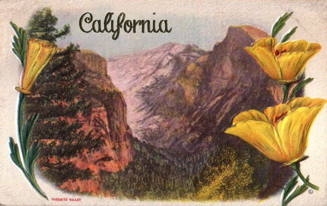 DGD - Digital Goodie - Vintage California Postcard