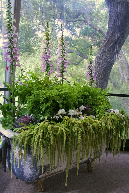 Bathtub Planter