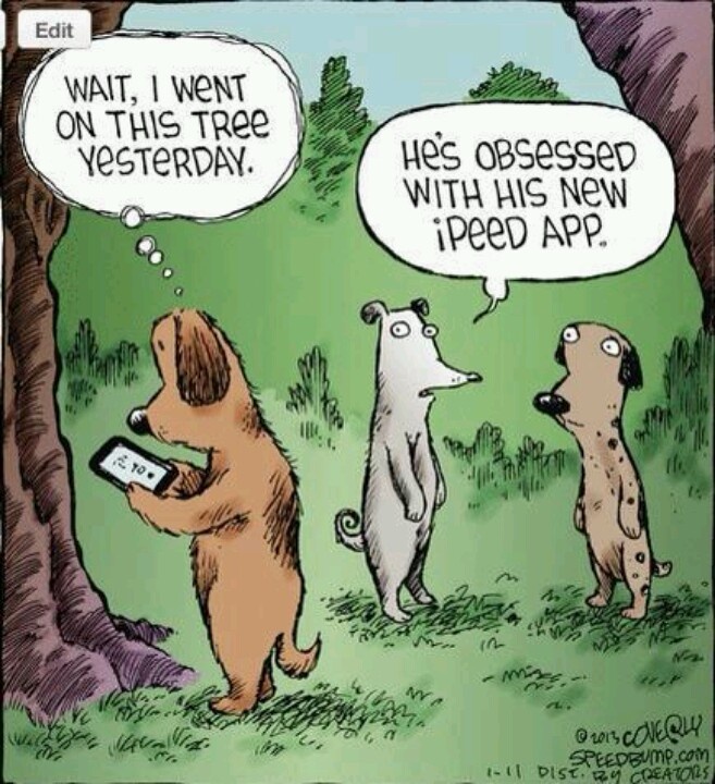 Dave Coverly Cartoon