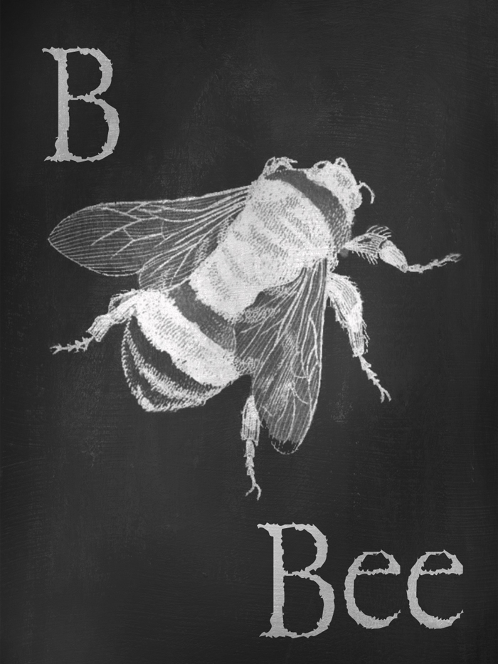 DGD - Digital Goodie Day - B is for Bee Card