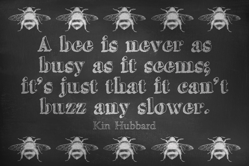 DGD - Digital Goodie Day - Busy Bee Quote