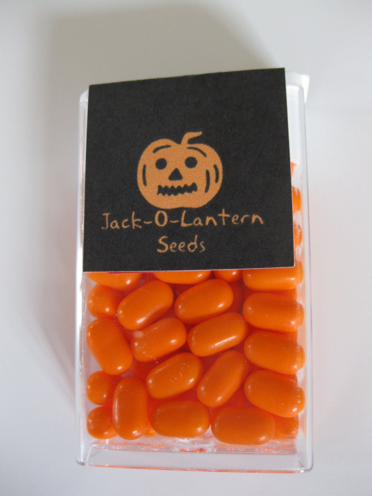 jack o lantern seeds