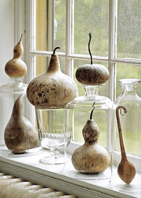Gourds in a Window
