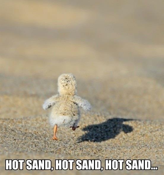 Hot Sand