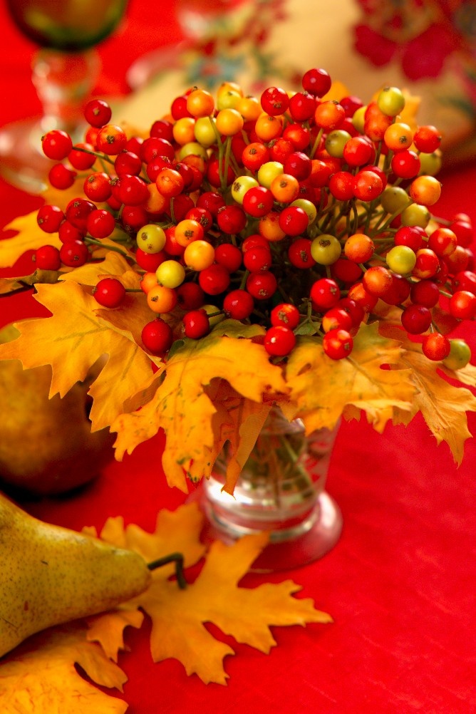 Leaves and Berries