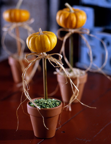 Pumpkin Topiaries