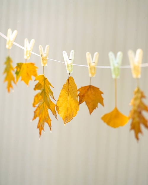 Wax Dipped Leaves