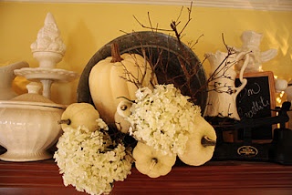 White Pumpkins and Hydrangeas