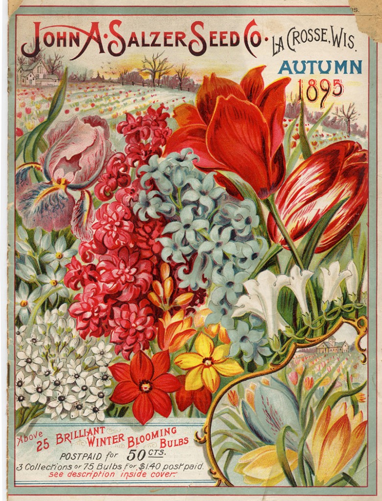 John A Salzer Seed Co Autumn 1895