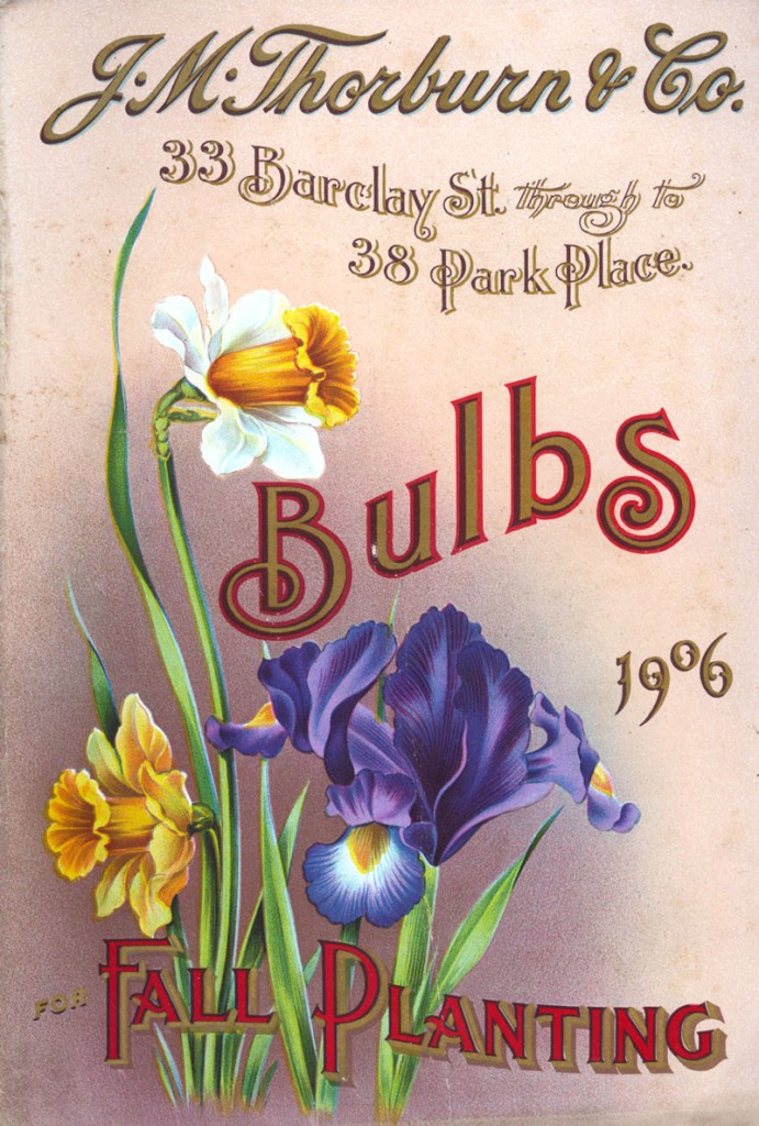 JM Thorburn & Co Bulb Catalog 1906