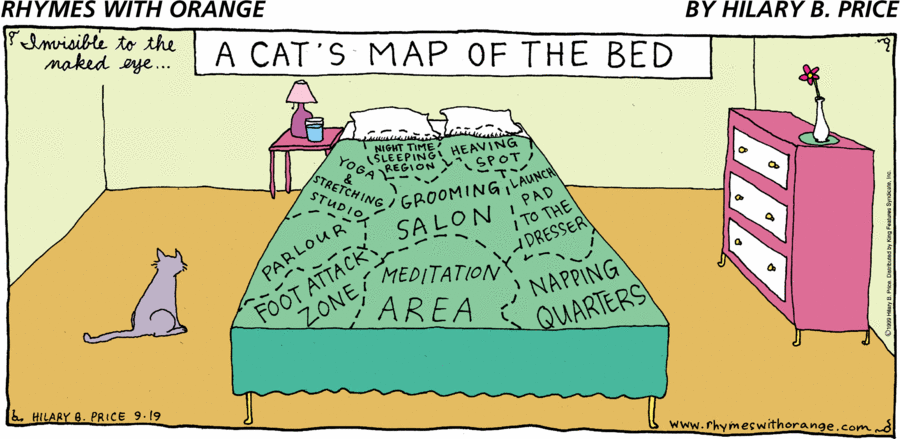 A Cats Map of the Bed by Hillary B Price