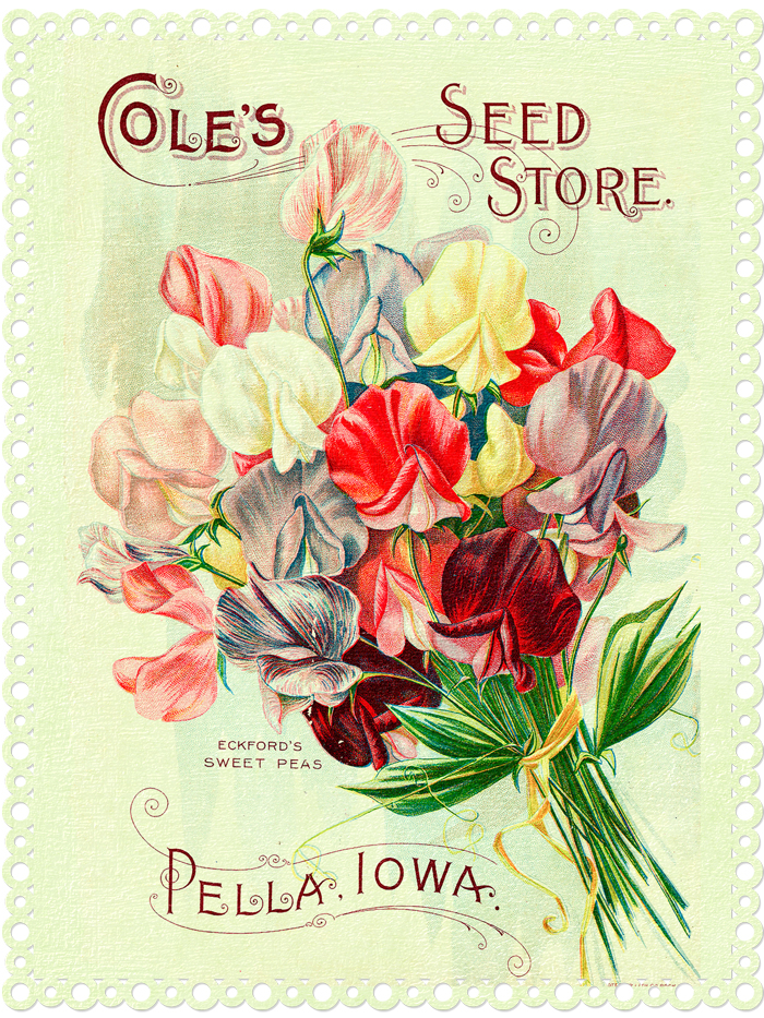 Coles Seed Store - Free Digital Goodie on threelittlekittens.com/blog