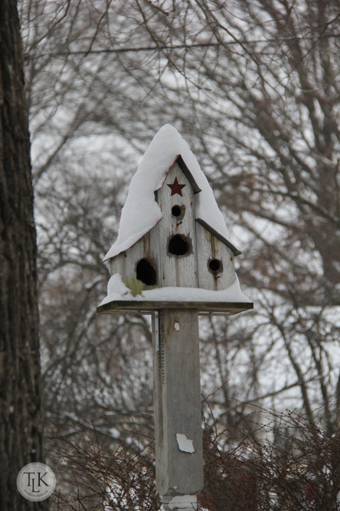 Snow on our Birdhouse at lunch time