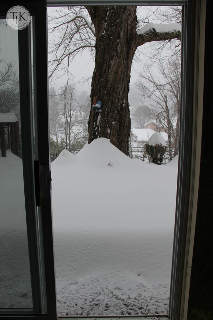 Looking out onto the deck at a wall of snow