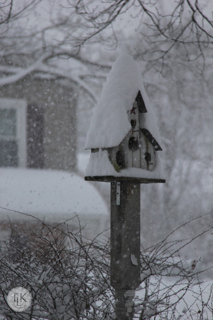 Afternoon snow on birdhouse