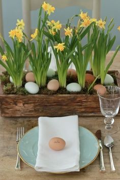 Daffodils and Eggs