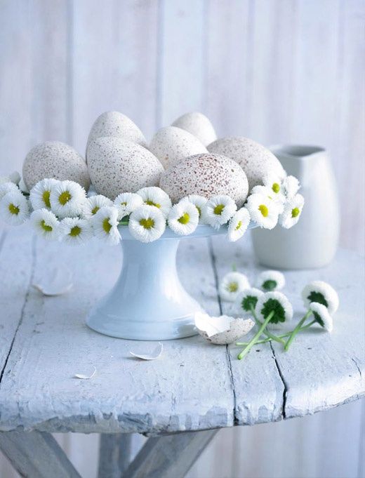 Eggs and Daisies