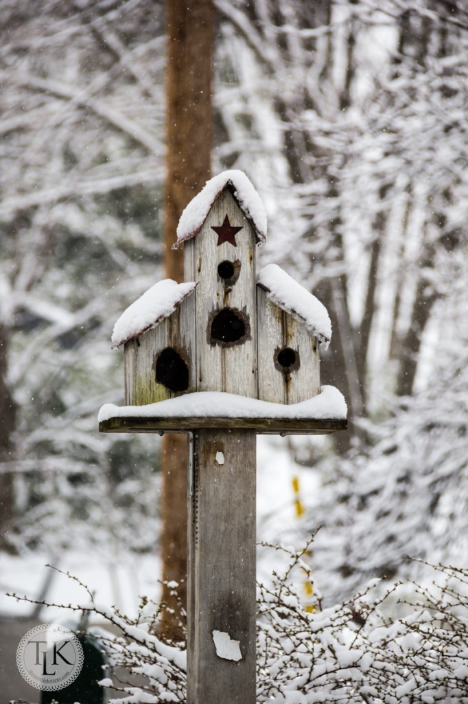 Snow covered birdhouse in the garden