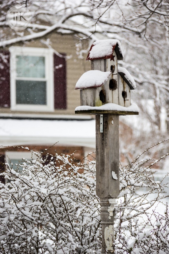 Birdhouse coverd in Spring Snow
