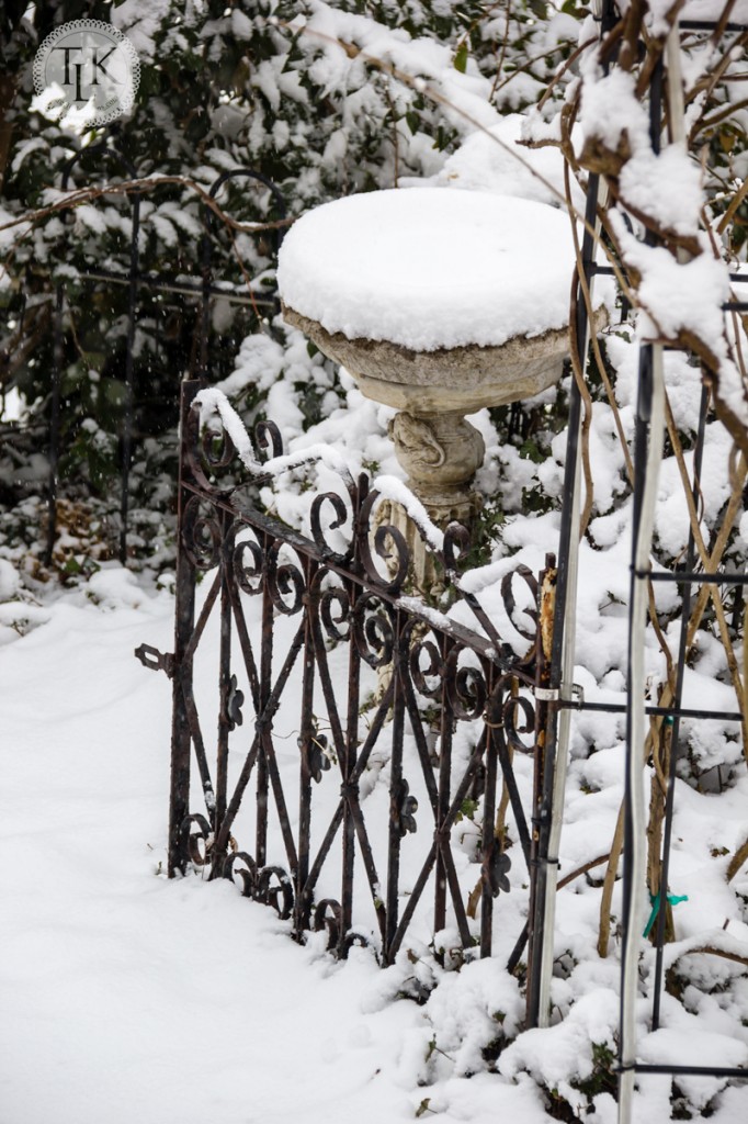 Snow covered gate in the garden