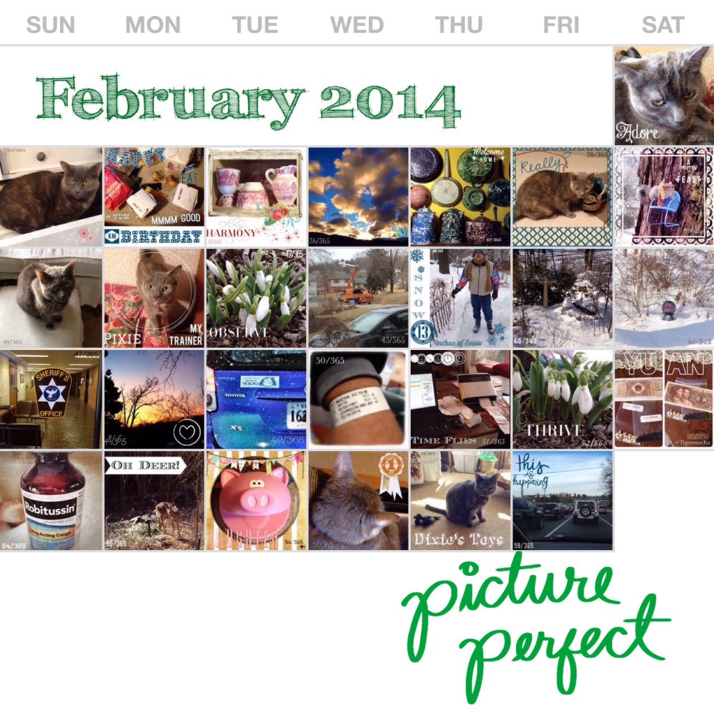 Project Life 365 February by Teresa Mucha on threelittlekittens.com/blog