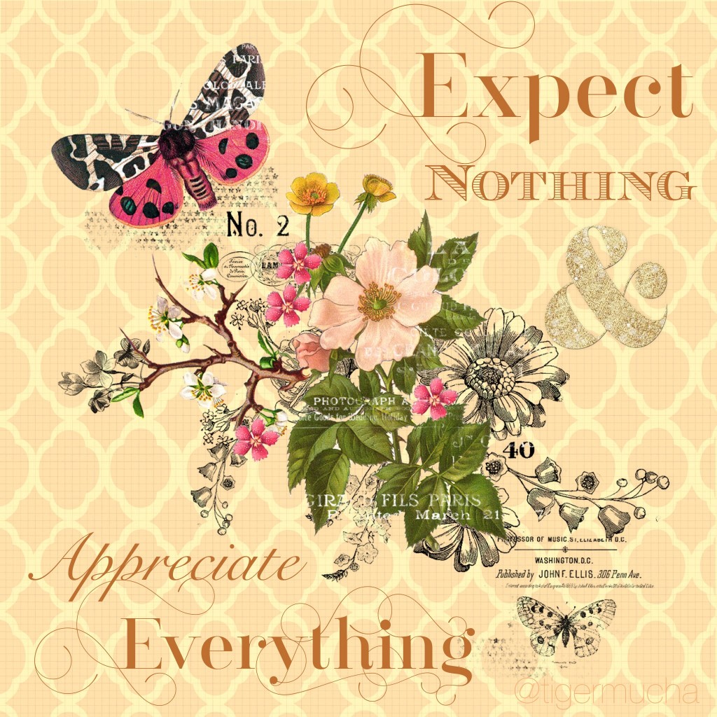 Expect Nothing & Appreciate Everything Quotable on threelittlekittens.com/blog
