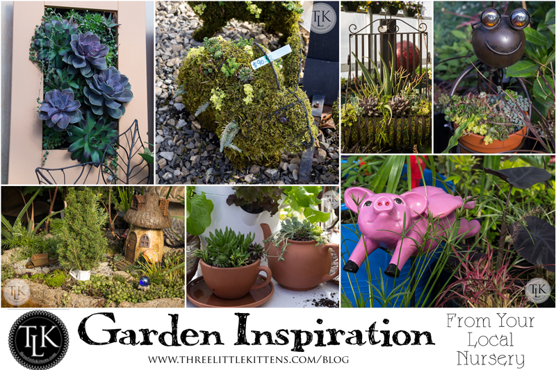 Need Garden Inspiration? Why not try your local nursery! Garden Inspriation From Your Local Nursery on threelittlekittens.com/blog