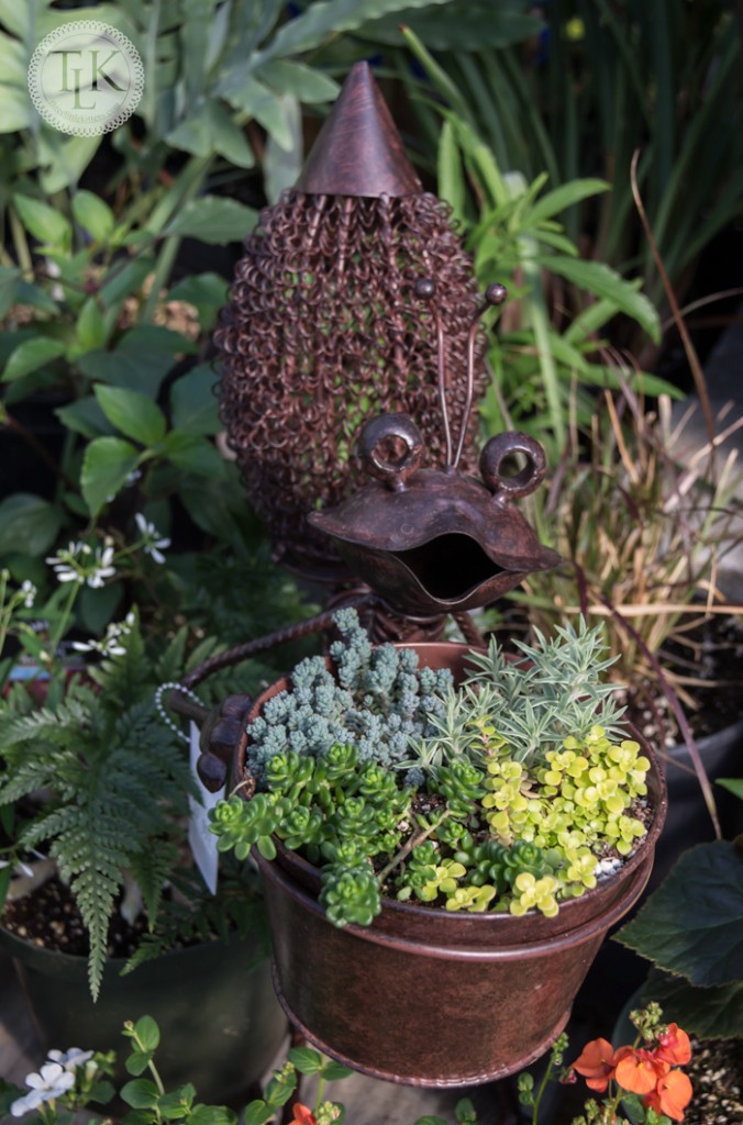 Bug Planter at Walter's Greenhouse in Hardy, VA on threelittlekittens.com/blog