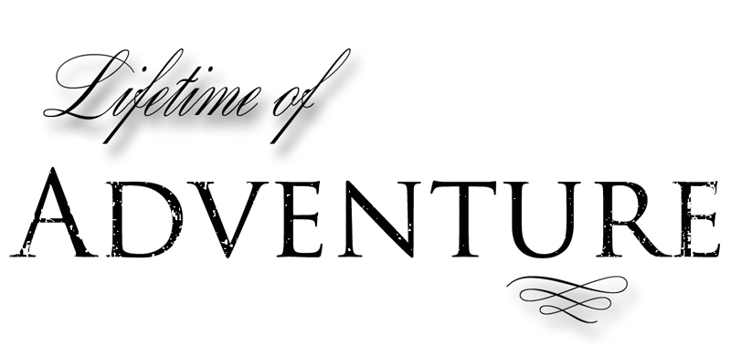 Lifetime of Adventure Digital Goodie Free Travel Printable on threelittlekittens.com/blog