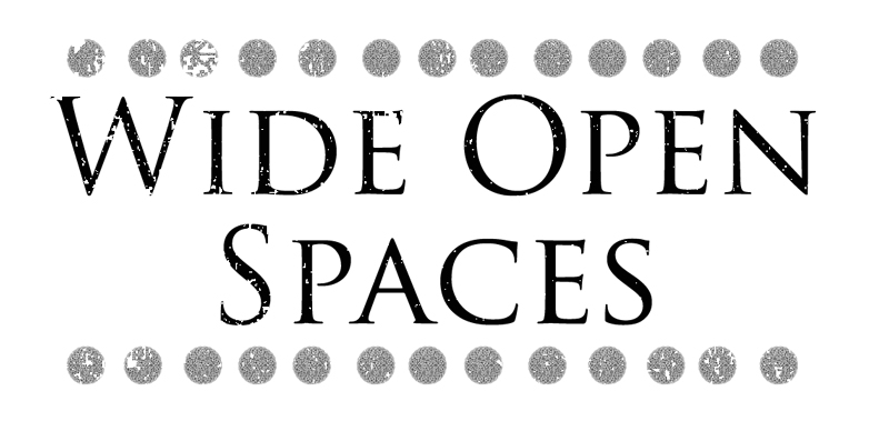 Wide Open Spaces Free Digital Goodie Travel Printable on threelittlekittens.com/blog