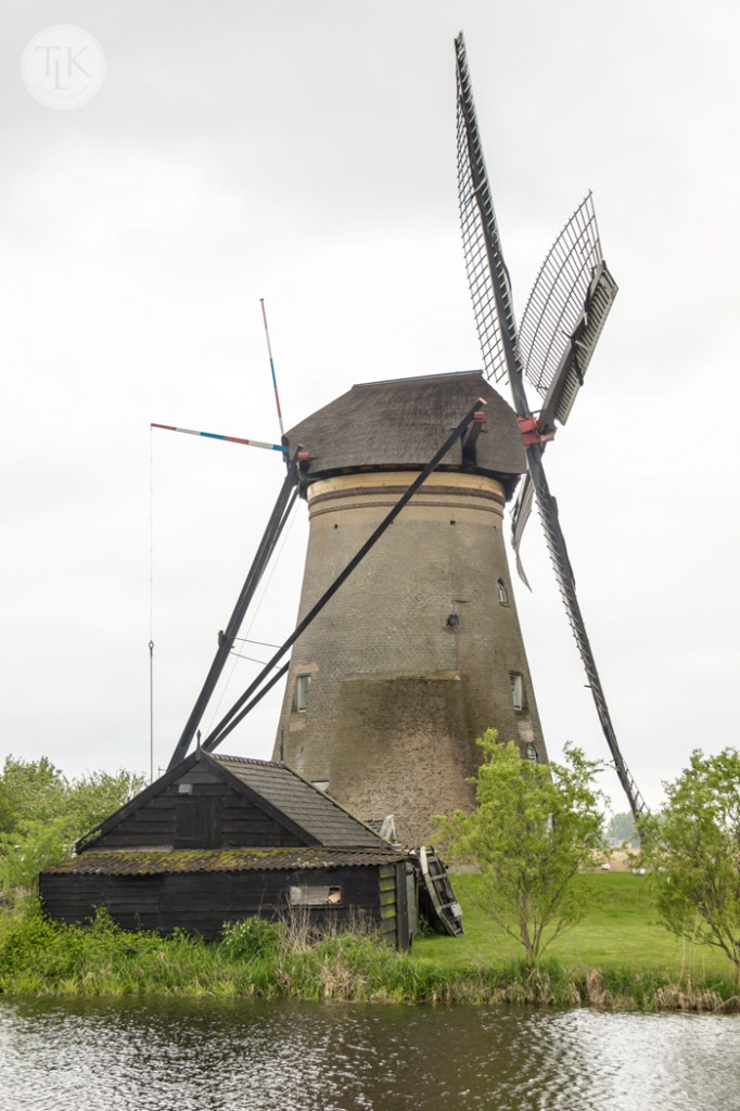 Barn-and-Windmill-Kinderdijk