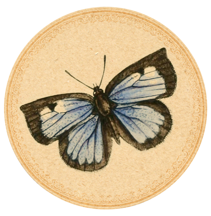 Blue-Butterfly-03 Digital Goodie free printable on threelittlekittens.com/blog