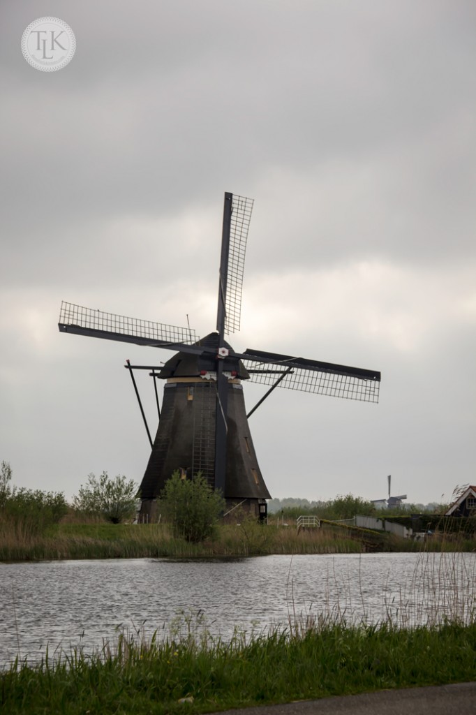 Kinderdijk-Windmill