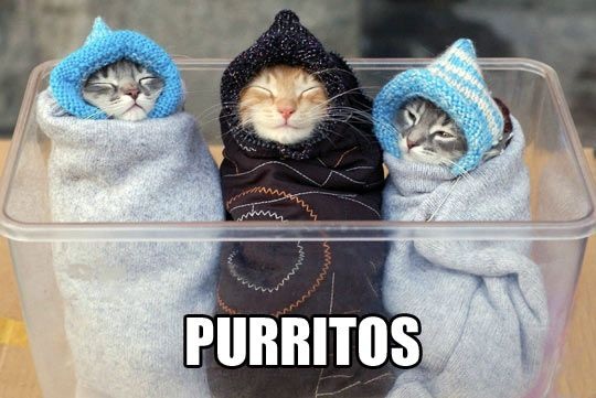 Purritos