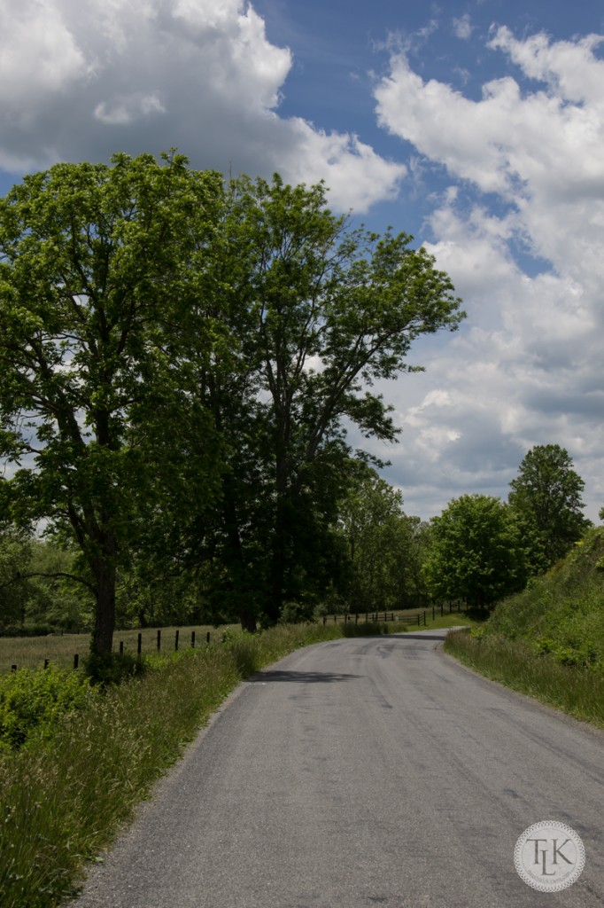 Craig County, Virginia Country Road