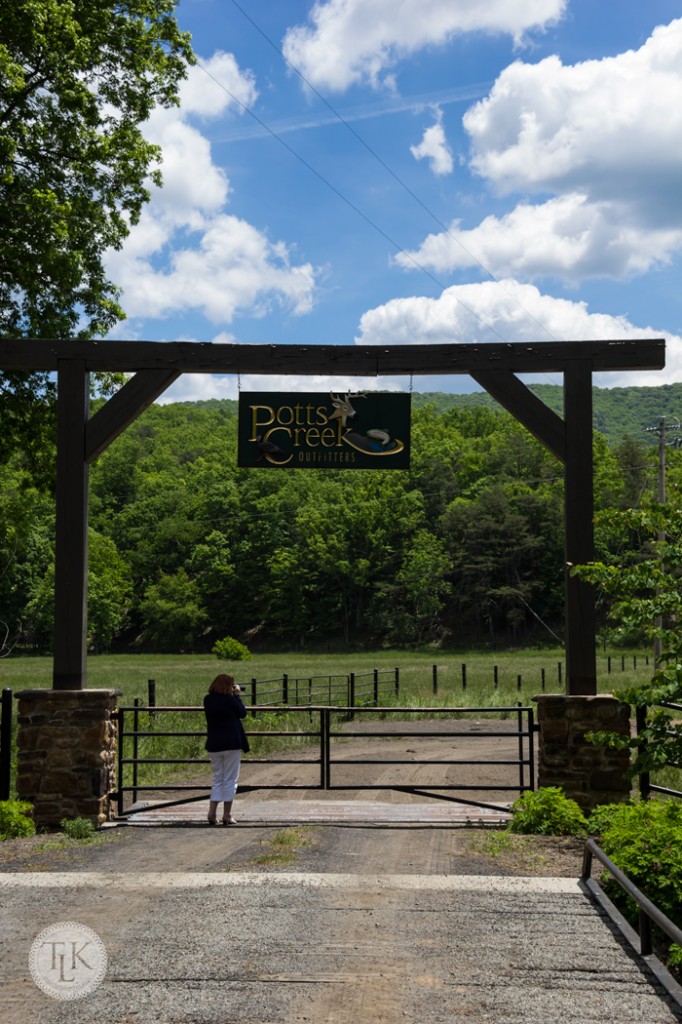 Mom photographing Buffalo at Potts Creek Outfitters