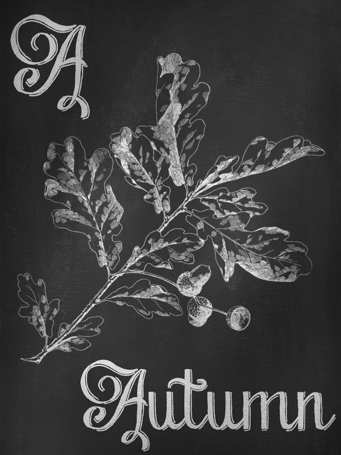 Autumn Chalkboard Art - Digital Goodie - Free Printable - A is for Autumn on threelittlekittens.com/blog