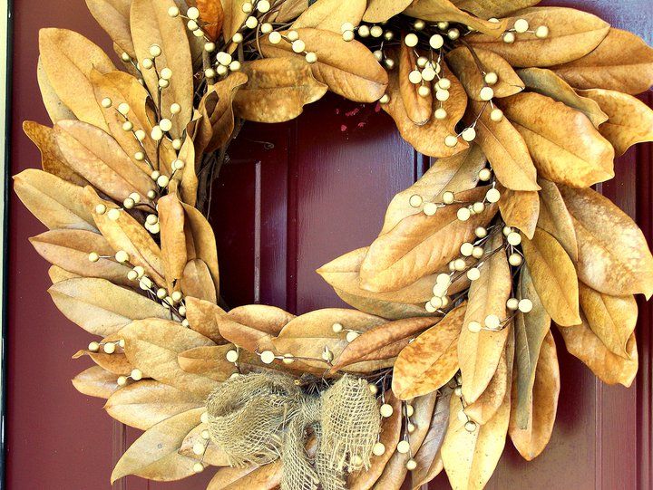 Dried Magnolia Leaf Wreath